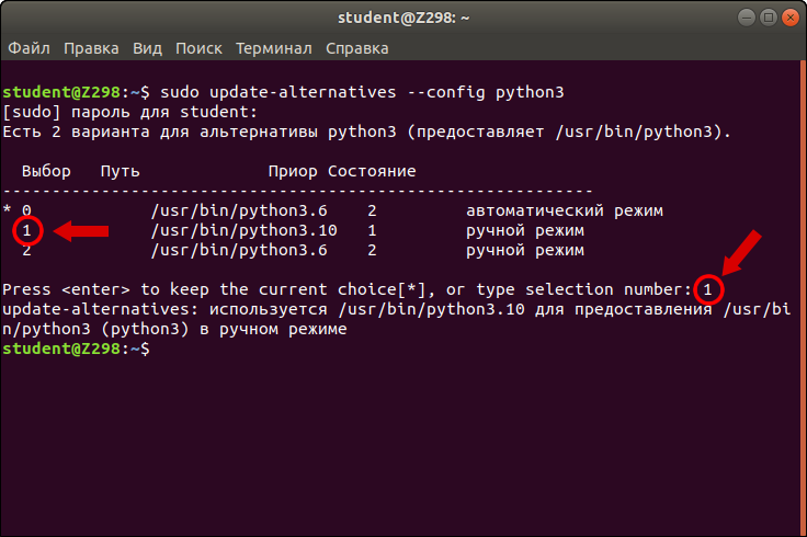 term-py3-cfg-3.10